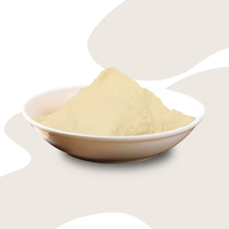 Wholesale Food Grade 5000 FU/g Nattokinase Natural Enzyme Powder From Pure Bacillus Natto of Japan for Health Food