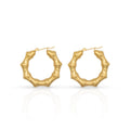 Chris April Fashion Jewelry 316L Stainless Steel PVD Gold Plated Exaggerated Geometry Hollow Hoop Earrings