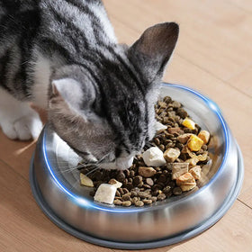 Nenepet High Quality Durable 304 Stainless Steel Dog Bowls Manual Smart Feeding Rounded Large Capacity 350 ML Solid Modern
