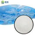 Wholesale Bulk Pure Hydrolyzed Fish Collagen Peptide Powder Supplement Fish Collagen Peptide Powder Fish Collagen Powder