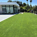 Trendy Commercial and Residential Artificial Turf