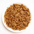 Wholesale Dried Mealworm for Pet Snacks