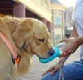 Professional Private Label Oem logo 550ml Outside Travel Portable 19oz Dog Water Bottle