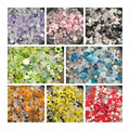 New Popular 500g/Lot Assorted Acrylic Beads Rose Flowers Heart Butterfly Bowknot Round Loose Spacer Bead for Jewelry Making DIY
