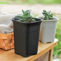 New Style White Modern Durable PP Thicken Square Flower Pot Plastic Plastic Planters Flower Pot