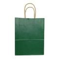 Custom Color Biodegradable Recyclable Eco-friendly Premium Quality Paper Gift Bags with Logo for Clothing & Shoes Packaging