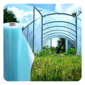 Zhihui Anti Drip Anti Fog UV Resistant PE High Strength Double 0.1mm Thickness Large Single-Span Hydroponic System Agricultural