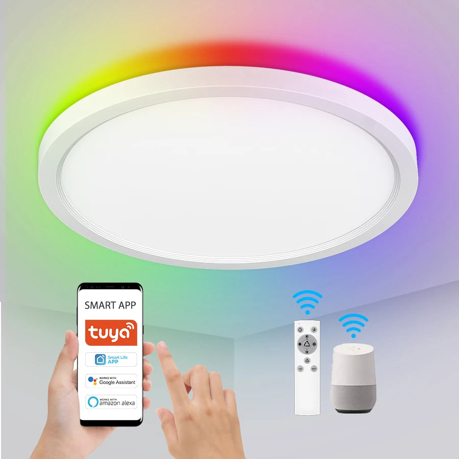 Indoor Home Light 24W Ceiling Light Smart WIFI Tuya  Voice Control RGB Color Decoration 300mm LED Flush Mount