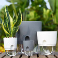 4 Inch Self Watering Eco-Friendly Transparent Plastic Planter Pot with Automatic Water Absorbing Feature for Home & Garden