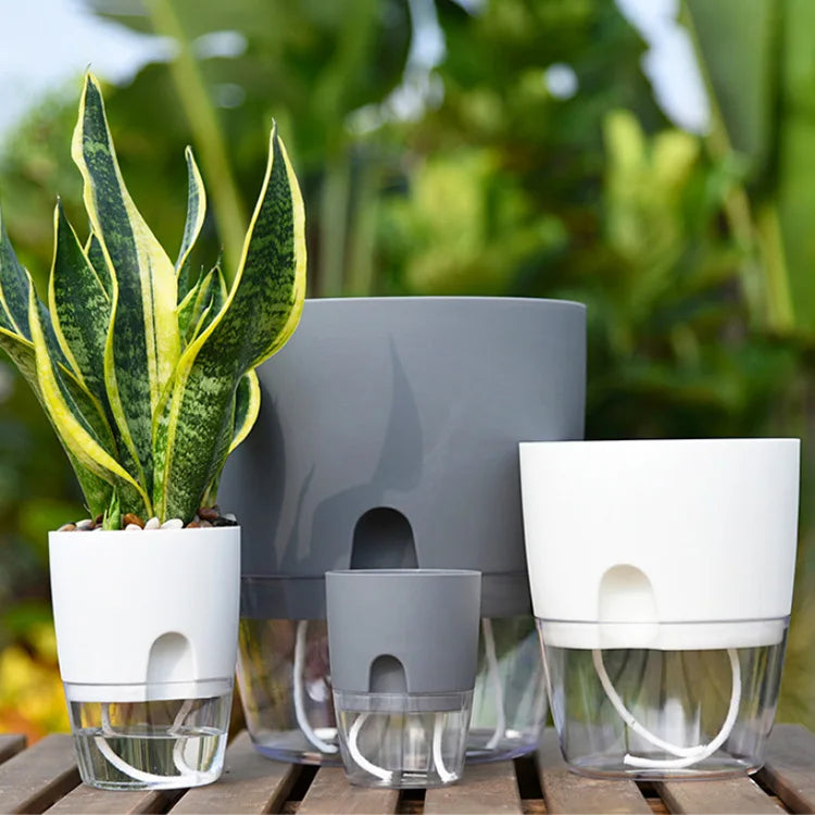 4 Inch Self Watering Eco-Friendly Transparent Plastic Planter Pot with Automatic Water Absorbing Feature for Home & Garden