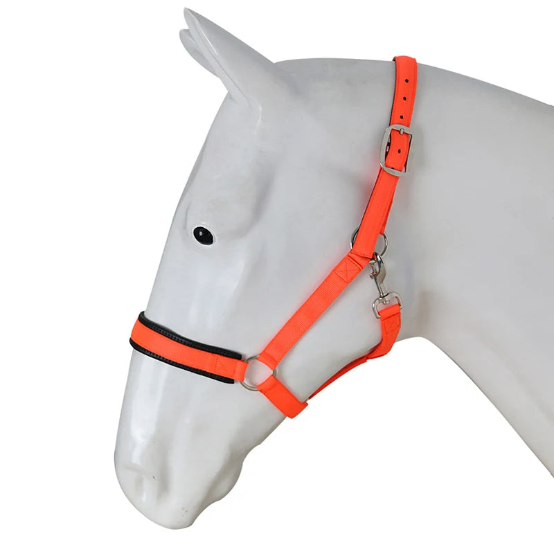 Strong and Light Horse Halter in Green Fruit Color Adjustable Wholesale Pvc Coated Nylon Rope Halters for Horses English Saddle