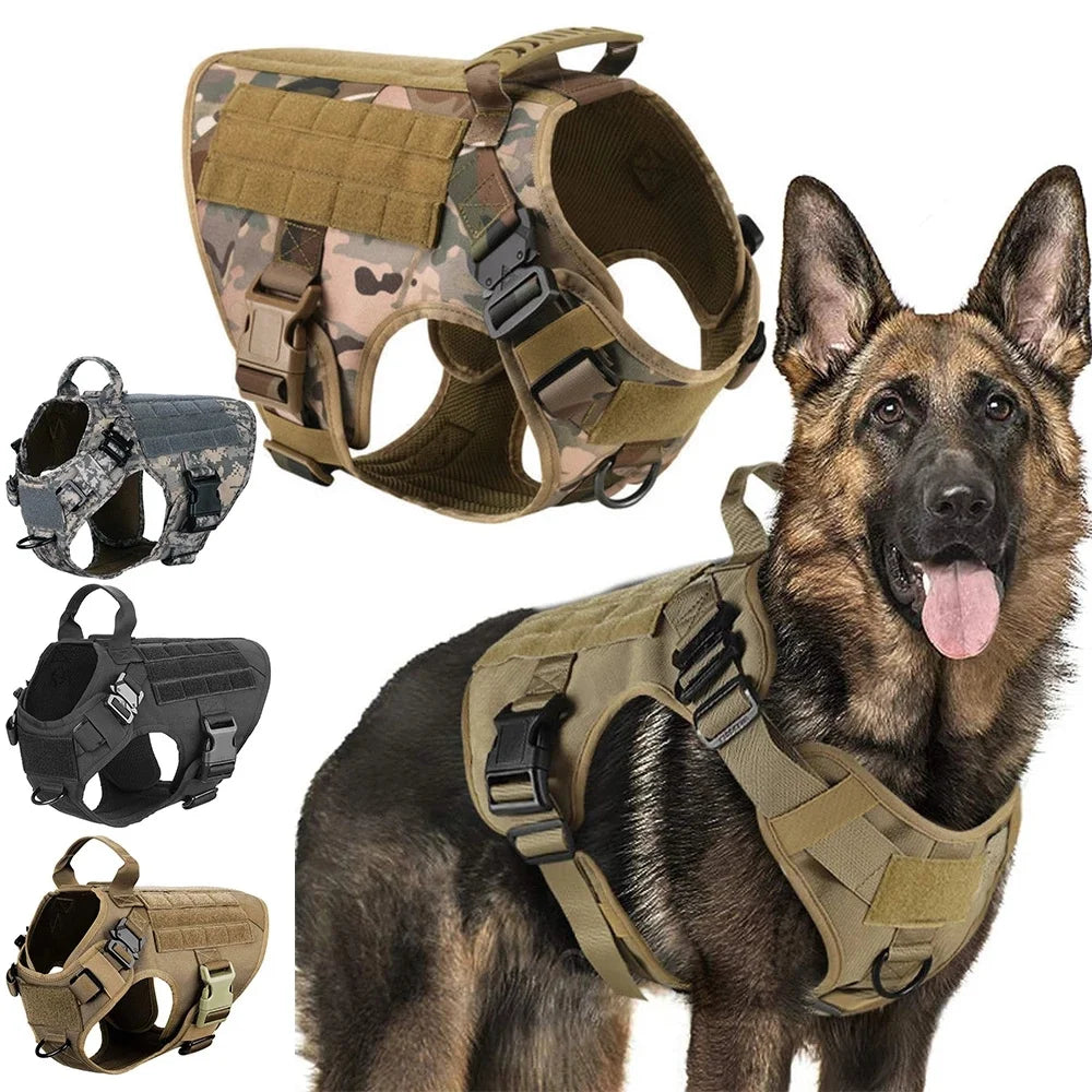 OEM Pet Vest Retractable Dog Leash Special Design 2022 Trending Products Pet Harness Dog Harness