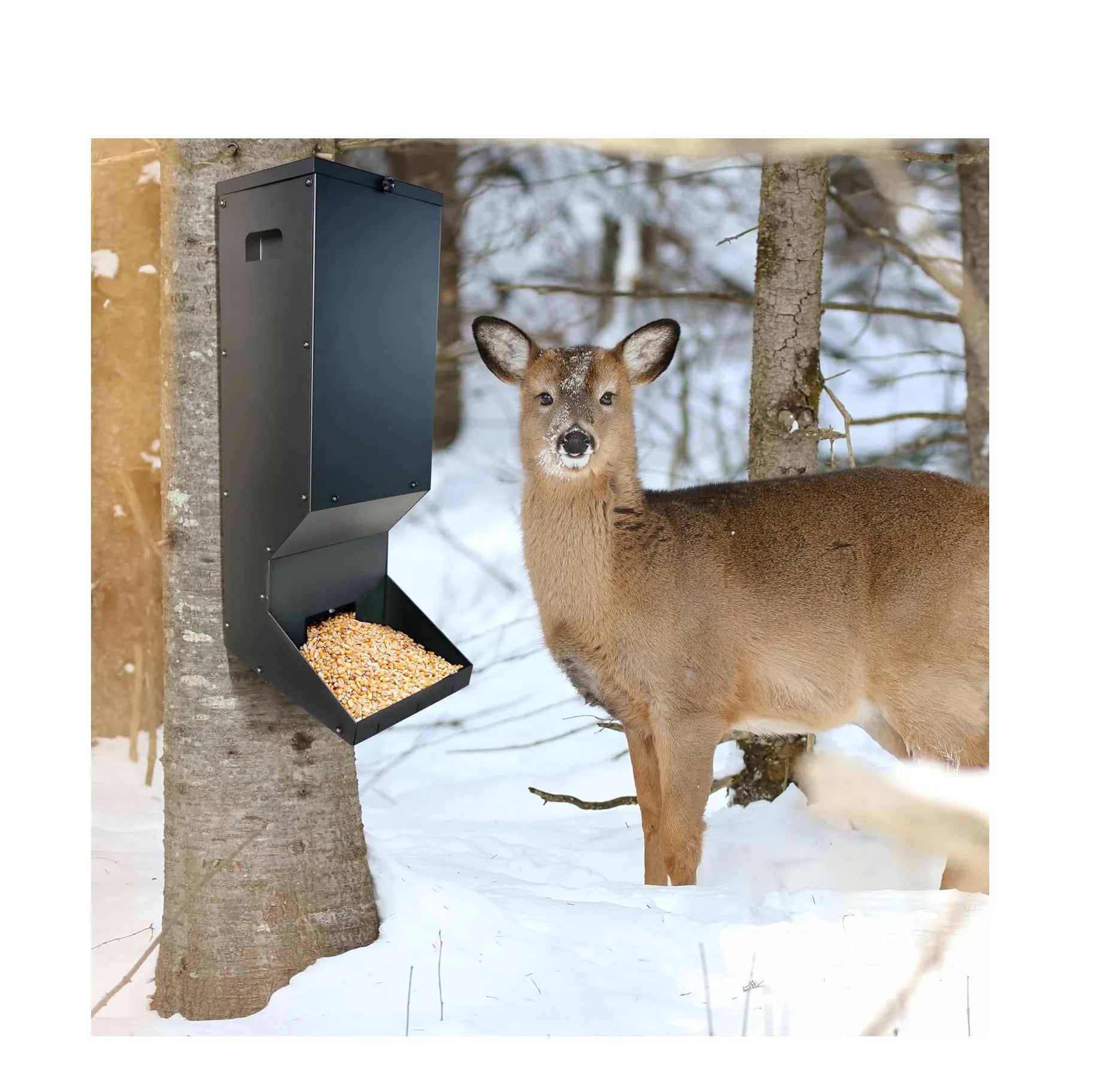 Patio Large Metal Hanging Deer Feeder Box Heavy Duty Automatic Dispenser with Black Power Coating Gravity Feeding Station