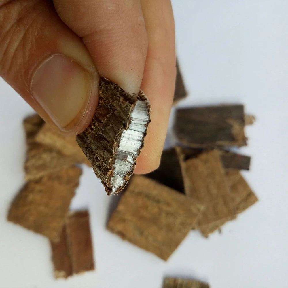 Duzhong Raw Dried CORTEX EUCOMMIAE for Herb