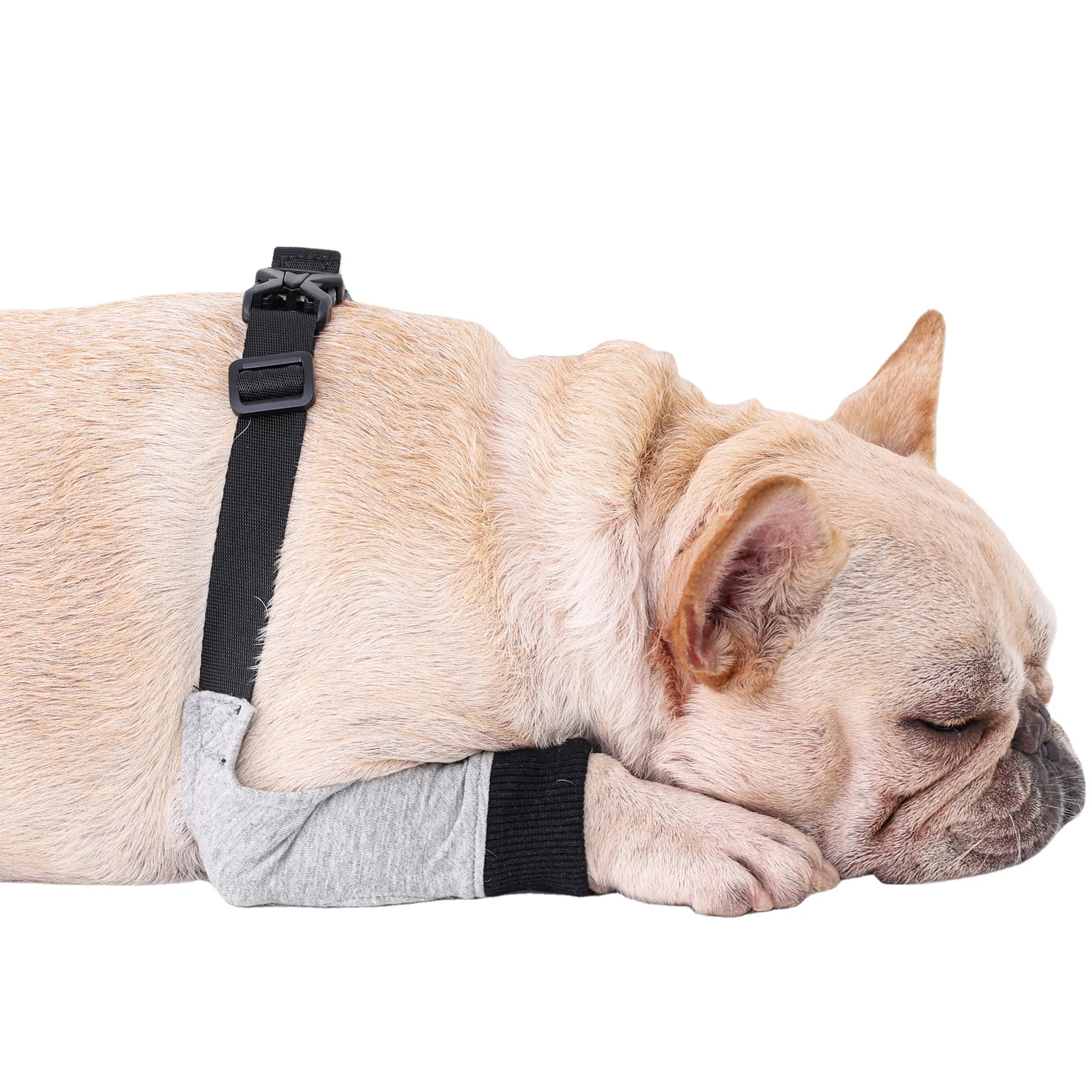 Custom Factory Adjustable Slider Dog Leg Sleeve Breathable Cold Fabrics Knee Protector for Pet Training & Behavior