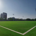 Cesped Sintetico Artificial Cesped Artificial Deportivo Cesped Artificial Futbol