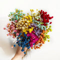 2024 Hot Selling Spring Preserved Happy Flower Decorative Aromatherapy 25-35cm Natural Touch Multiple Colors for New Year