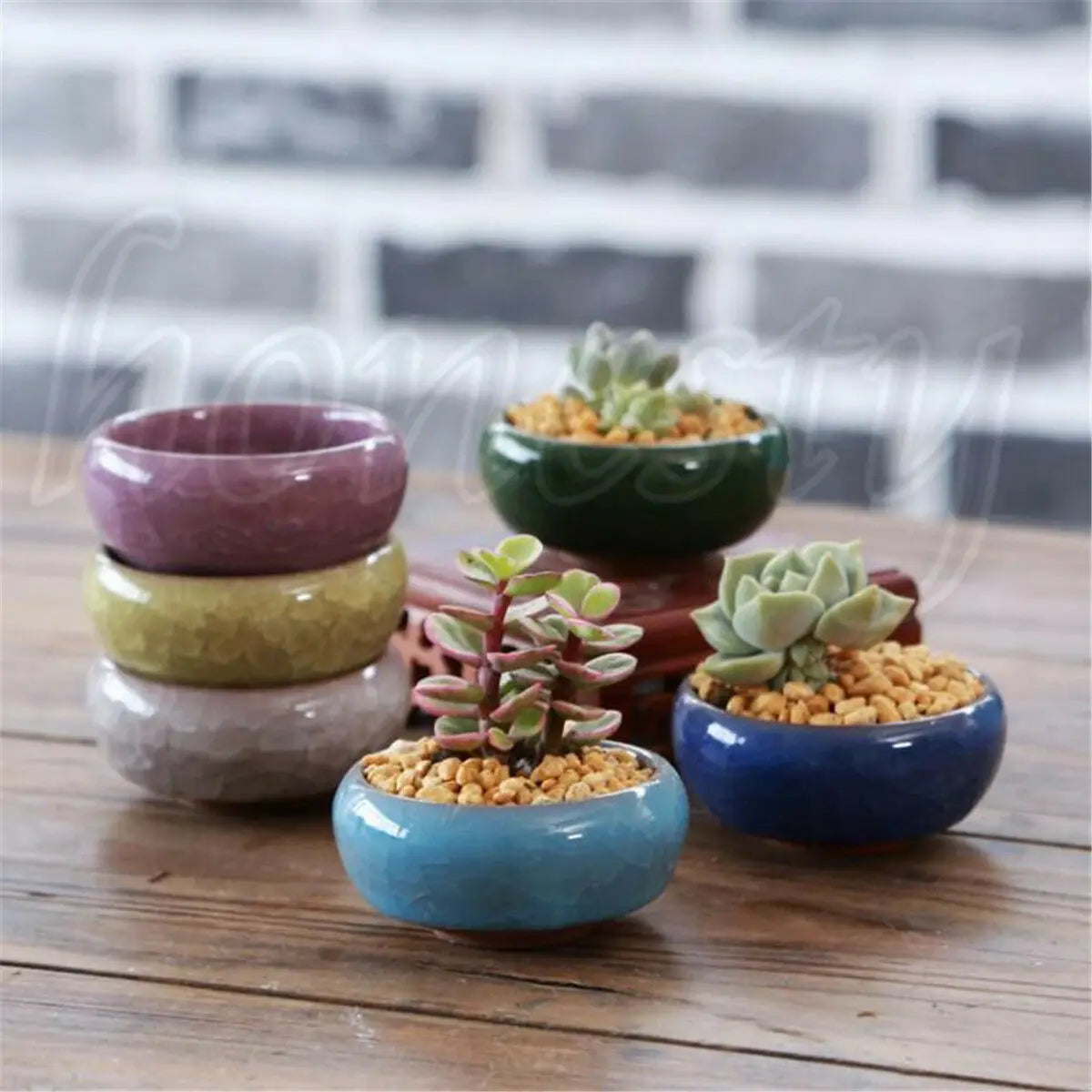 Ice-Crack Glaze Flower Ceramics Succulent Plant Mini Pot Home Garden Flowerpot Decor Craft Randomized with or Without Holes