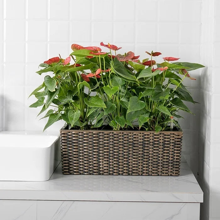 Brice Gardening Rattan Self Watering Planters for Indoor Plants Flower Pots Molde Para Vaso De Jardim Decor Desktop Planter