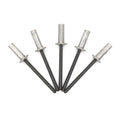 3.2/4.0/4.8 Closed End Aluminum Blind Seal Rivets with Steel Mandrel Pop Rivets