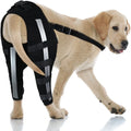 Canine Rear Supportive Hock Joint Wraps Protects Hind Leg Support Leg Brace for Dogs MegaBDM