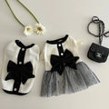 New Retro Skirt for Pet Cats Dogs Spring and Summer Bear Teddy Bomei Clothes with Bow Luxury Pet Clothes Dog Dress Skirt