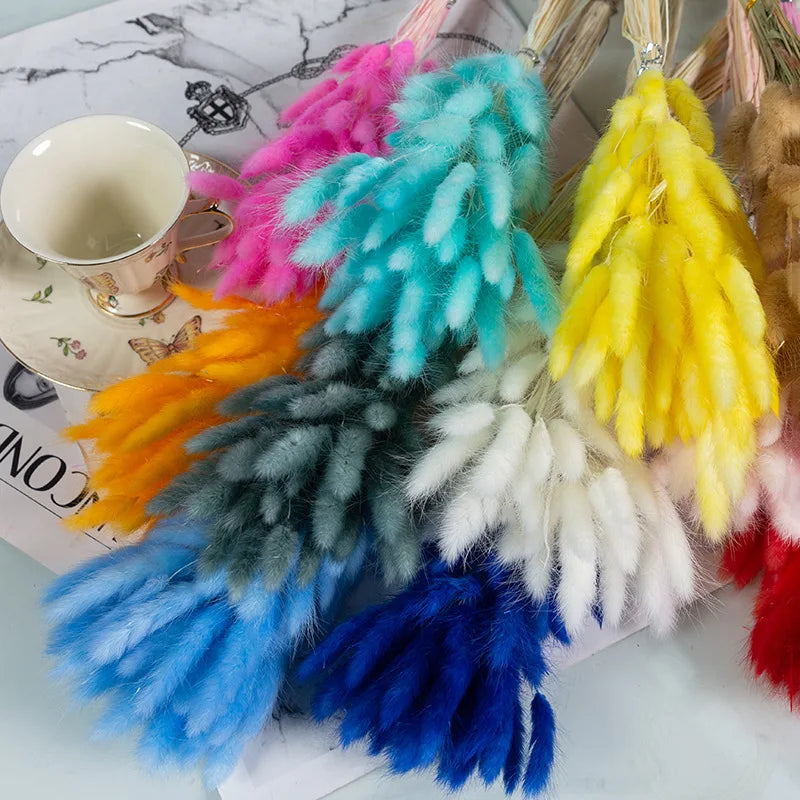 D153 Natural Pampas Bunny Tail Grass Preserved Rabbit Tail Grass Dried Flower Bouquet for Boho Home Decoration