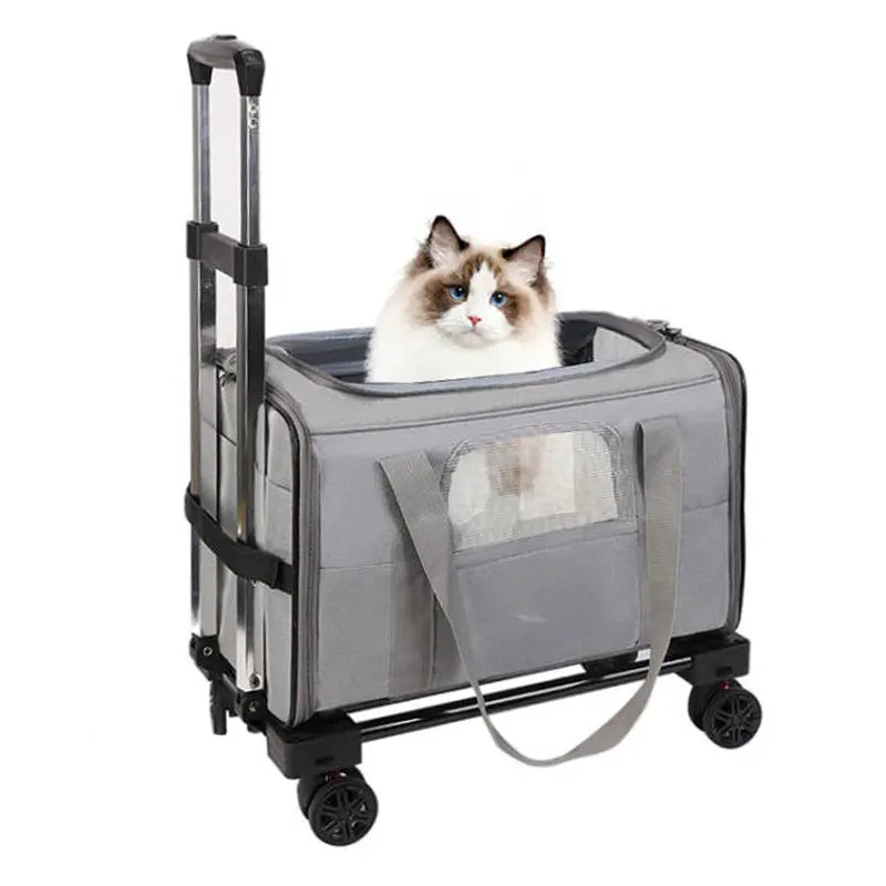 Fashionable Mesh Pet Carrier Bag Oxford PU Material with Zipper Closure Stylish Sustainable for Small Animals Outdoor Adventures