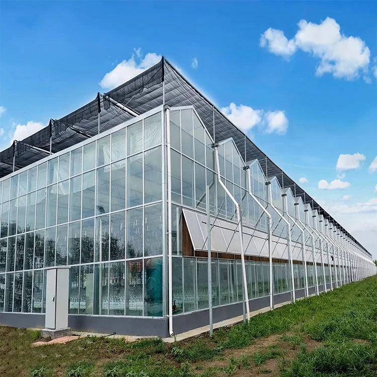 Multi-span Agricultural Glass Greenhouse Frame Green House Agricultural Manufacturers Greenhouse for Tomato