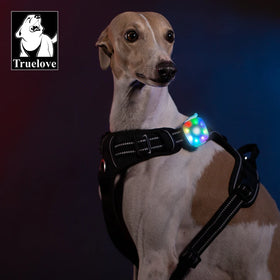 Truelove Wholesale Rechargeable Waterproof Corrosion-proof LED Light Dog Harness Leash Collar Wireless Portable Pet Accessories