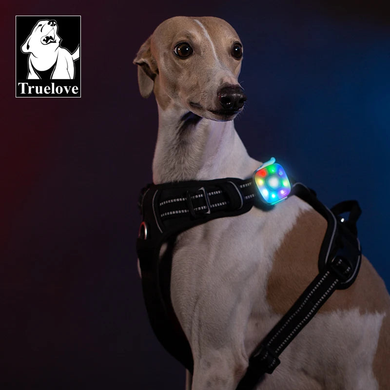 Truelove Wholesale Rechargeable Waterproof Corrosion-proof LED Light Dog Harness Leash Collar Wireless Portable Pet Accessories