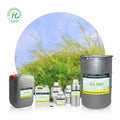 Australian Tea Tree Essential Oil for Soap Making - 100 Pure Natural Plant Extract Aromatherapy Oil | Bulk Supplier 1kg