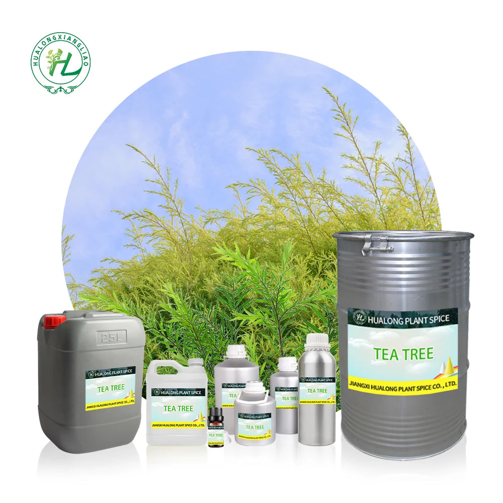 Australian Tea Tree Essential Oil for Soap Making - 100 Pure Natural Plant Extract Aromatherapy Oil | Bulk Supplier 1kg