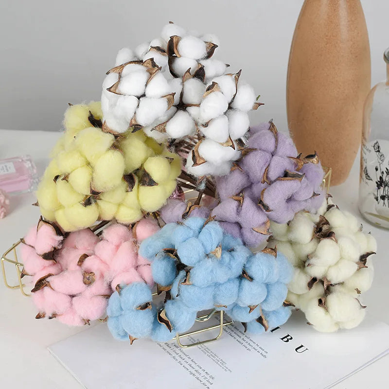 L06086 Natural Real 10pcs Dry Cotton Stems Dried Cotton Flowers for Wedding Home Party Christmas Decoration