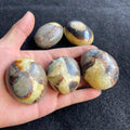 Natural Oval Septarian Tumbled Stone Polished Septarium Palm Stone for Healing Stones Decoration