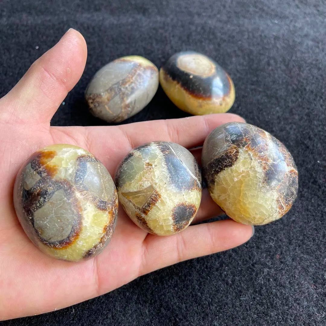 Natural Oval Septarian Tumbled Stone Polished Septarium Palm Stone for Healing Stones Decoration