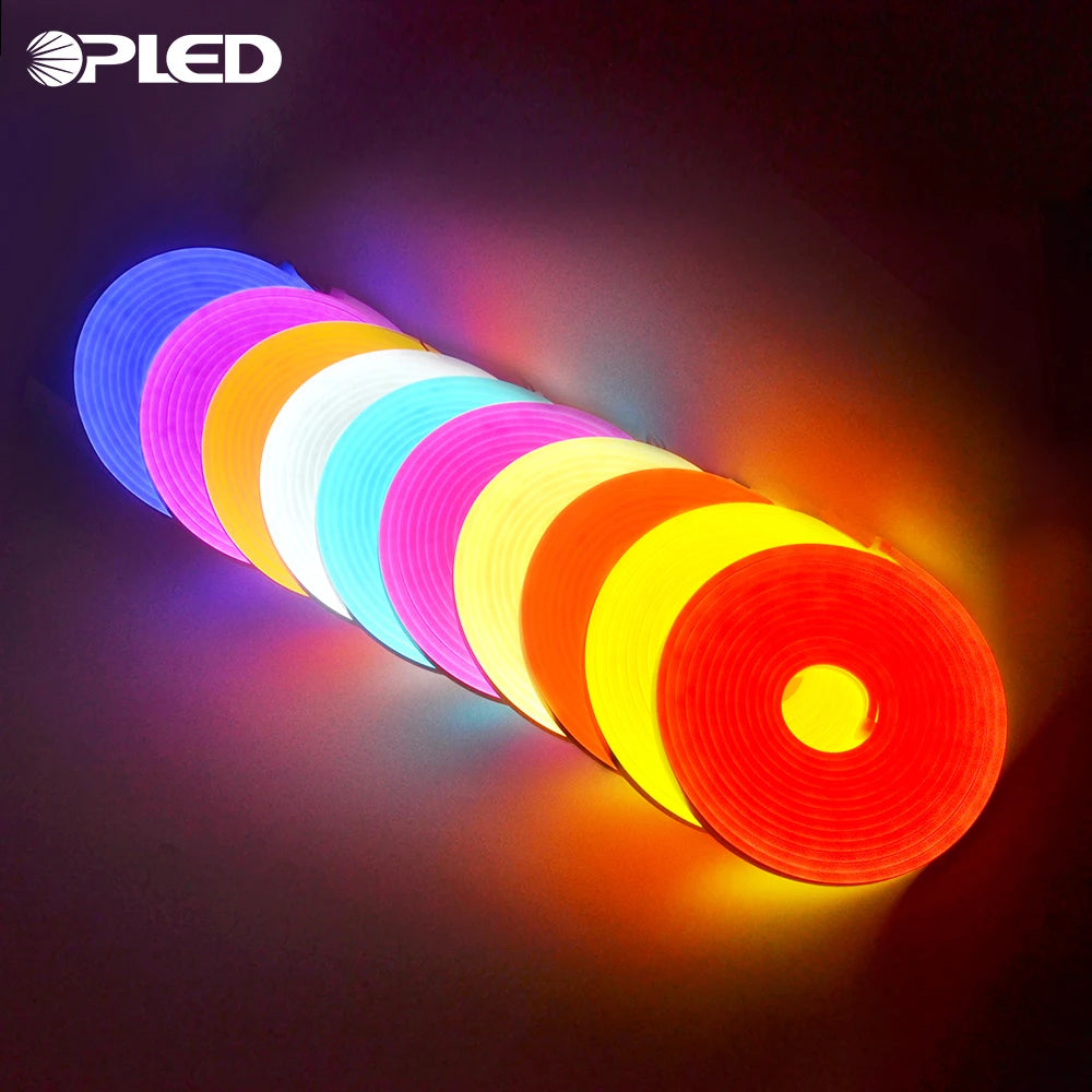 Silicone Tira Rope Luces Tubes 5V 12V RGB Custom Lamp Flex Strip Led Neon Lights Neon Led Flex