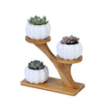 Creative White Fleshy Plant Owl Pumpkin Ceramic Flowerpot with Bamboo Treetop for Home and Garden