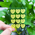 12 Dots Yellow Smile Acne Patches Hydrocolloid Pimple Patch Removing Blemish Patch