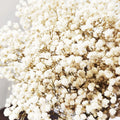 Dried Flower Coasters Wholesale Multi-color Gypsophila Dried Flowers Syl Yunnan Real Plastic Dry Flower