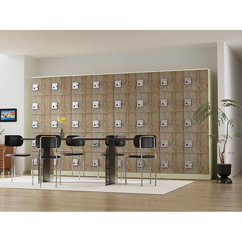 Headleader Staff Assembled Metal Locker with Fingerprint Lock Iron Locker Assembly Steel Locker for School Library Gym