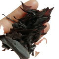 1KG Premium Quality Raw Natural Palmaria Mollis New Dried Pacific Dulse Seaweed for Sale
