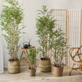 View Larger Image Add to Compare  Share New Design 150 180 210 cm Tall Wholesale Bamboo Tree Big Tree Artificial Bamboo Tree Fo