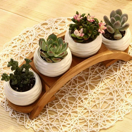 JUNJI Ceramic White Mini Textured Succulent Plant Pot Cactus Plant Pot with Bamboo Arc Indoor Wood Plant Pot Stand