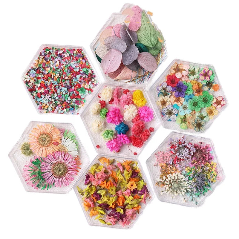 Hot Selling Wholesale Nail Art DIY Real Dried Flower Colorful Petals 7 Types Nail Stickers Newest Fashion Style