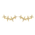 Rainbowking S925 Sterling Silver Hexagram Earrings Niche Fine Jewelry with Gold Plating Meteor Full Diamond Star Design