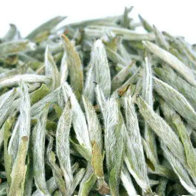 Organic Spring Fuding Loose Leaf White Tea Silver Needle Bai Hao Yin Zhen