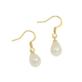 Summer Hot Sale Trendy Stainless Steel Earrings with Imitation Pearl Pendant Hook Flower Shaped Fashion Jewelry Women Wholesale