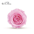 HFlora  Wholesale  Popular Hot Selling Real Touch Preserved Roses Head for Valentine's Day Girlfriend Present DIY