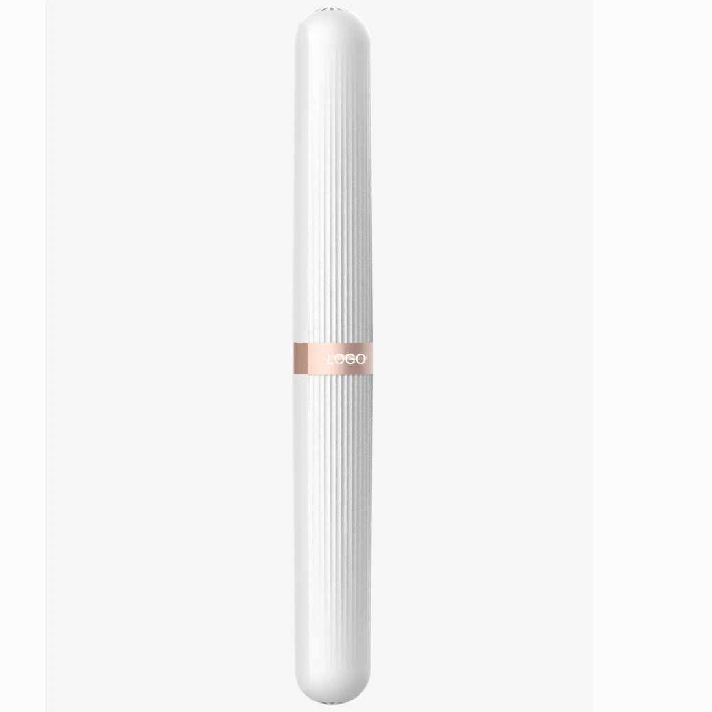 Lula Beauty Wholesale Custom Printing Portable Electric Toothbrush Case Travel-Friendly Plastic Case